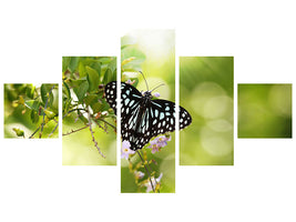 5-piece-canvas-print-papilio-butterfly-xxl