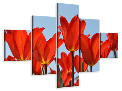 5-piece-canvas-print-red-tulips-xl