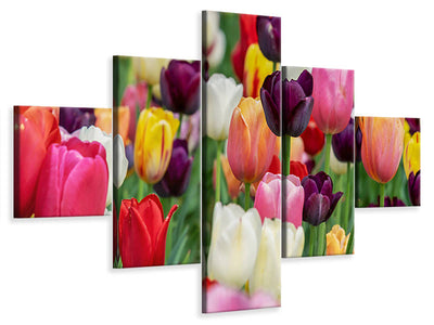 5-piece-canvas-print-the-colors-of-the-tulips