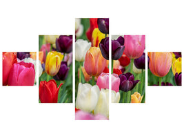 5-piece-canvas-print-the-colors-of-the-tulips