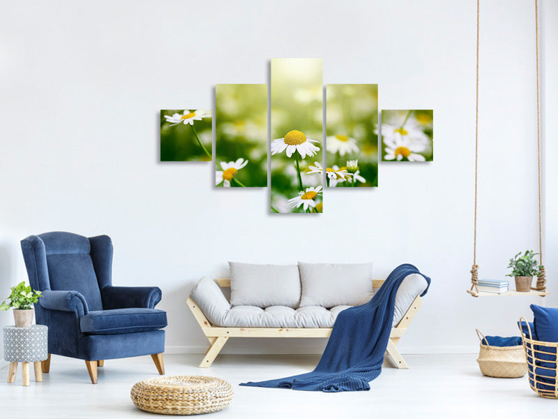 5-piece-canvas-print-the-daisy