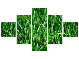 5-piece-canvas-print-the-meadow-in-xl
