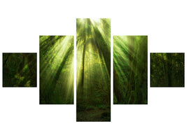 5-piece-canvas-print-the-miracle