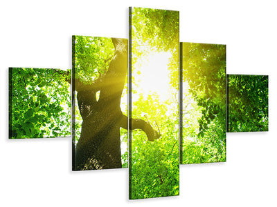 5-piece-canvas-print-tree