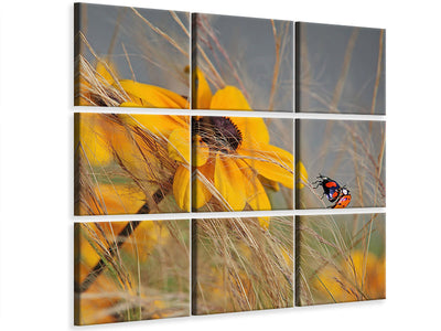 9-piece-canvas-print-colors-of-summer-ii