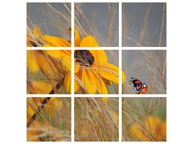 9-piece-canvas-print-colors-of-summer-ii