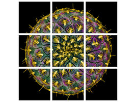 9-piece-canvas-print-sulcorebutia-rauschii