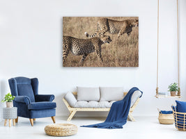 canvas-print-2-leopards