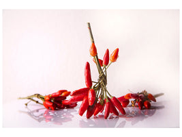 canvas-print-a-bouquet-of-chili