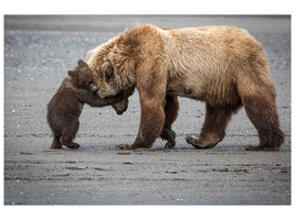 canvas-print-a-little-bear-hug