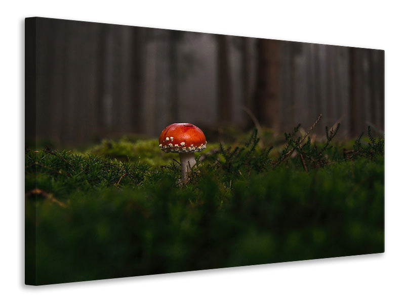 canvas-print-a-mushroom-in-the-forest