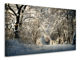 canvas-print-a-winter-dream