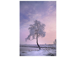 canvas-print-a-winter-tree