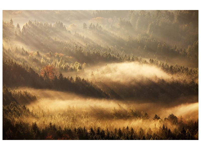 canvas-print-autumn-rays-x