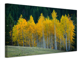 canvas-print-autumn-xfp