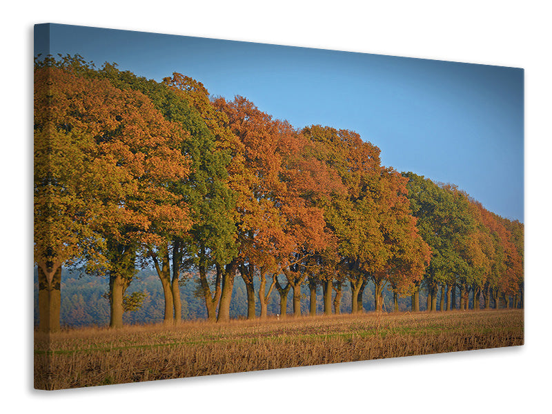 canvas-print-beautiful-autumn
