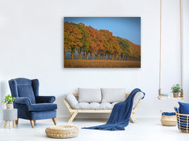 canvas-print-beautiful-autumn