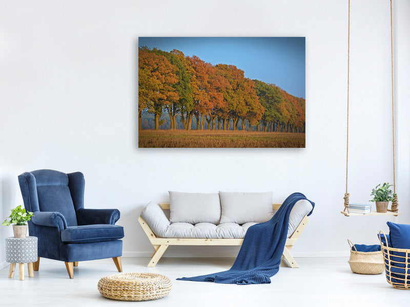 canvas-print-beautiful-autumn