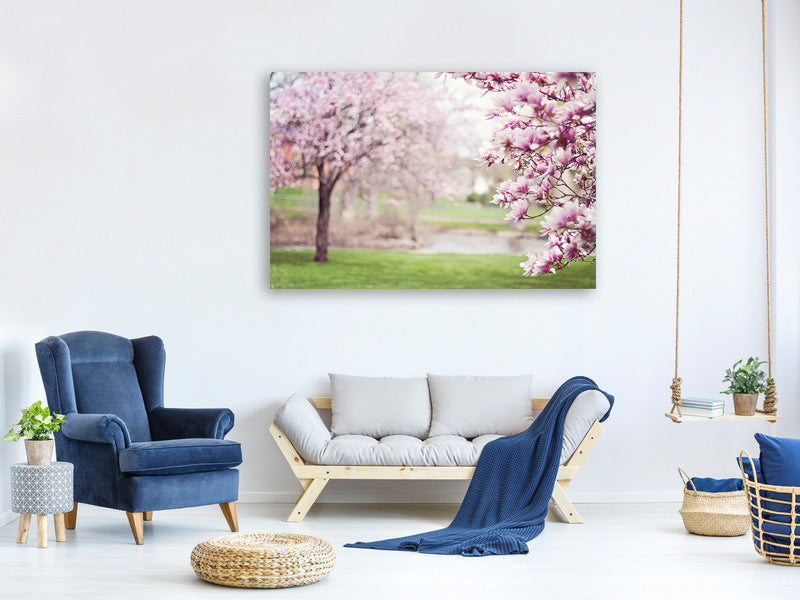 canvas-print-beautiful-magnolias