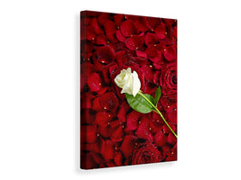 canvas-print-bed-of-roses