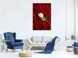 canvas-print-bed-of-roses