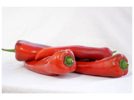 canvas-print-chilis