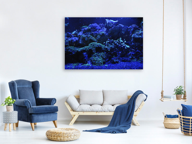 canvas-print-coral-reef-in-blue