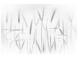 canvas-print-corn-art-x