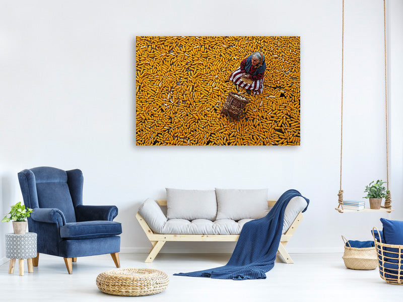 canvas-print-corn