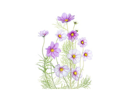 canvas-print-cosmos-comfort