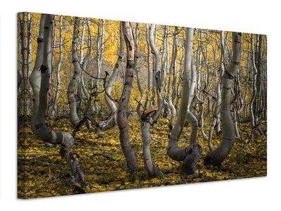 canvas-print-crooked-aspen-x