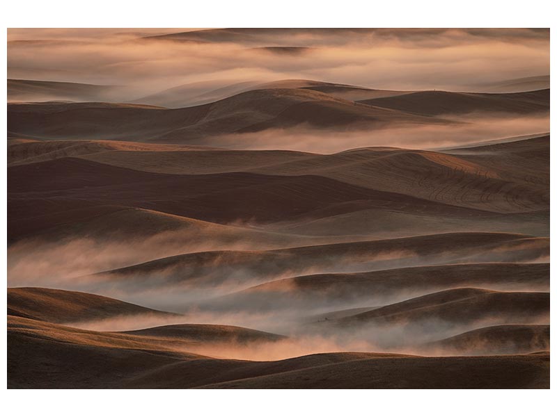 canvas-print-early-spring-morning-at-palouse-x
