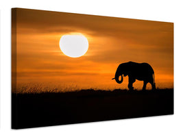 canvas-print-elephant-at-dawn-x