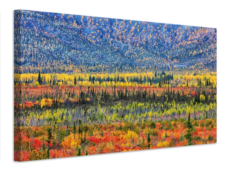 canvas-print-fall-color-in-the-mountain-x