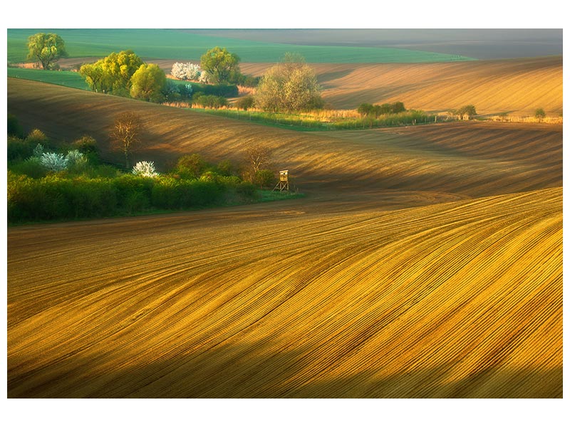 canvas-print-fields-xxg