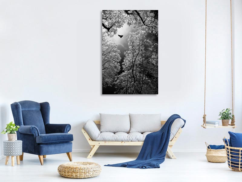 canvas-print-flight-x