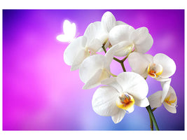 canvas-print-flower-power-orchid