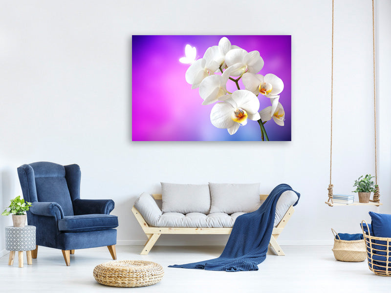 canvas-print-flower-power-orchid