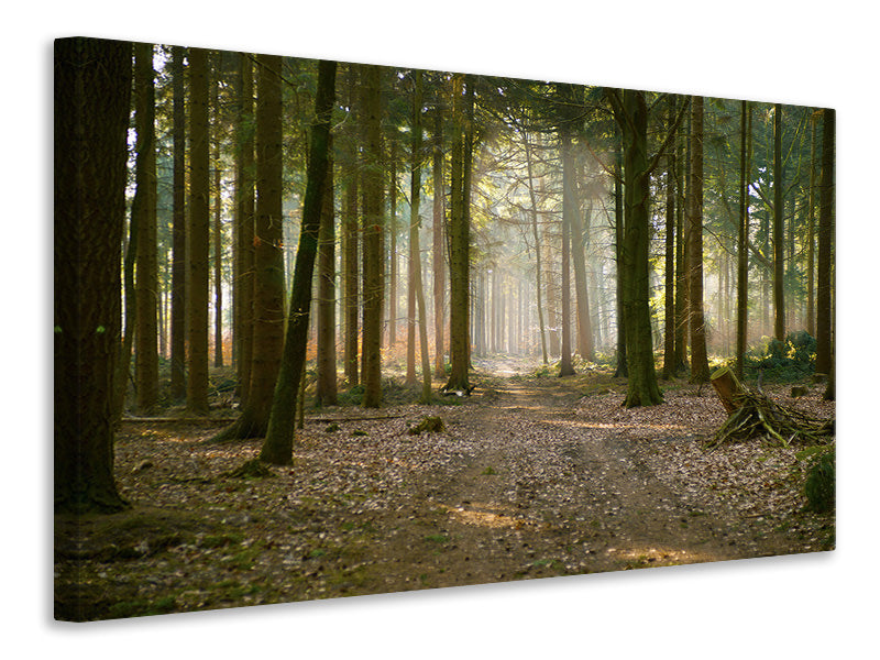 canvas-print-forest-run