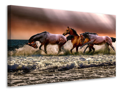 canvas-print-freedom-for-horses