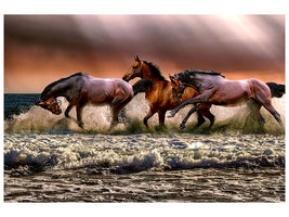 canvas-print-freedom-for-horses