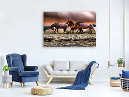 canvas-print-freedom-for-horses