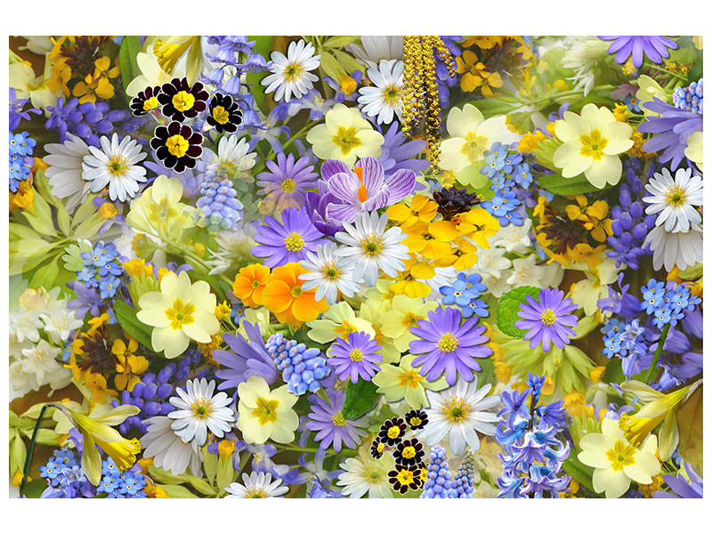 canvas-print-fresh-spring-flowers