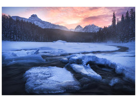 canvas-print-frozen-wonderland-x