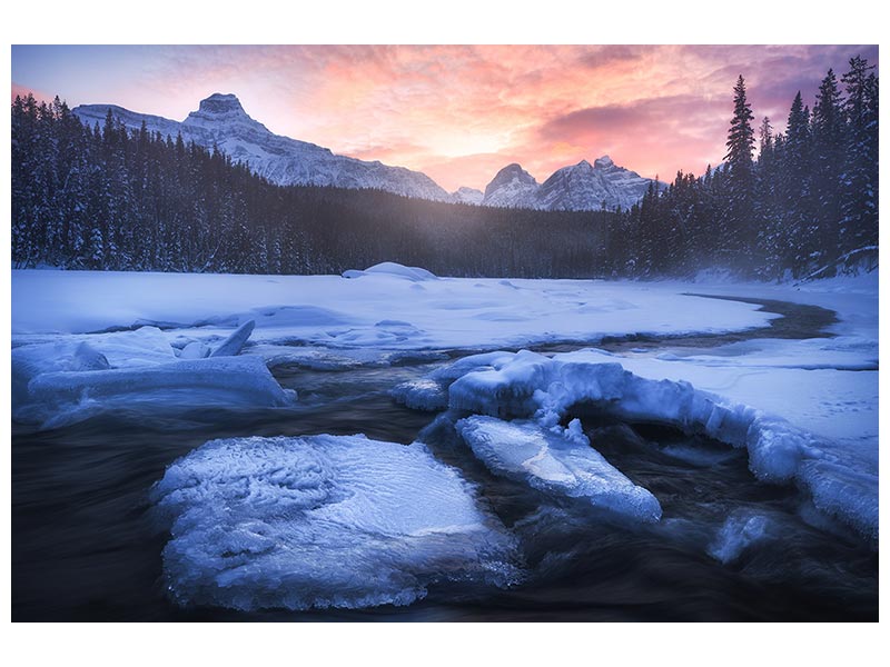 canvas-print-frozen-wonderland-x