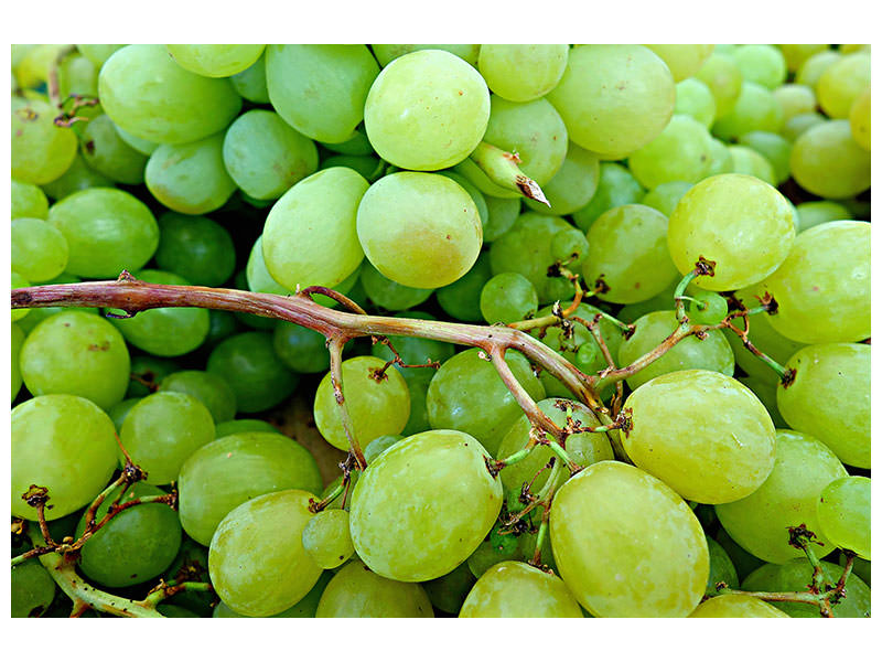 canvas-print-green-grapes