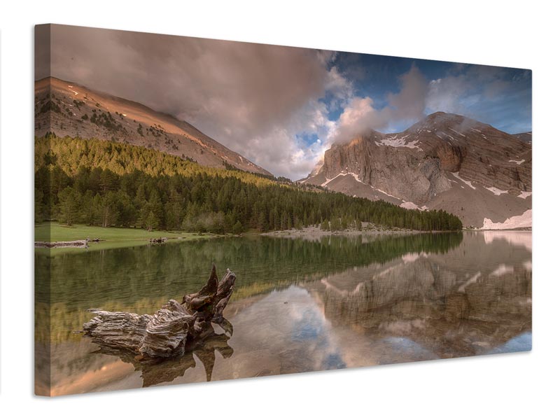 canvas-print-ibon-de-plan-x