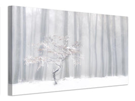 canvas-print-in-front-of-the-misty-curtain-x