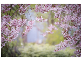 canvas-print-in-the-beautiful-spring