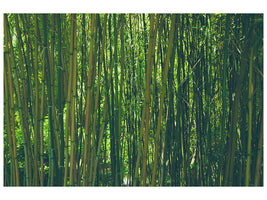 canvas-print-in-the-middle-of-the-bamboo